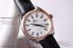 XF Factory Omega Seamaster 41mm Miyota Automatic Watch - Rose Gold Bezel White Dial (3)_th.jpg